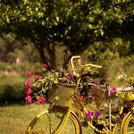 Yellow Bike House Apartament Lefkimmi (Corfu)