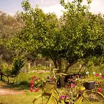 Yellow Bike House * Lefkimmi (Corfu)