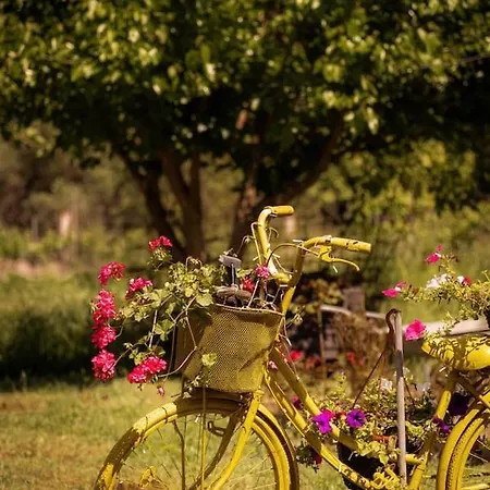 Yellow Bike House Apartamento Lefkímmi