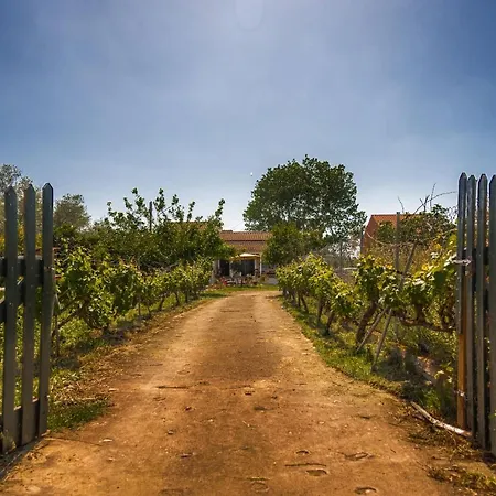 Yellow Bike House Apartman Lefkími