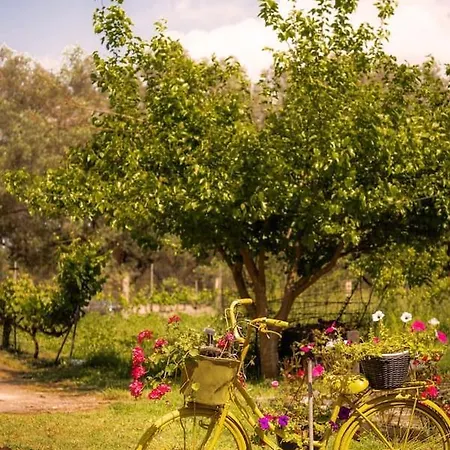 Yellow Bike House * Lefkími