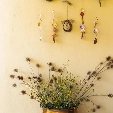 Yellow Bike House Lefkími