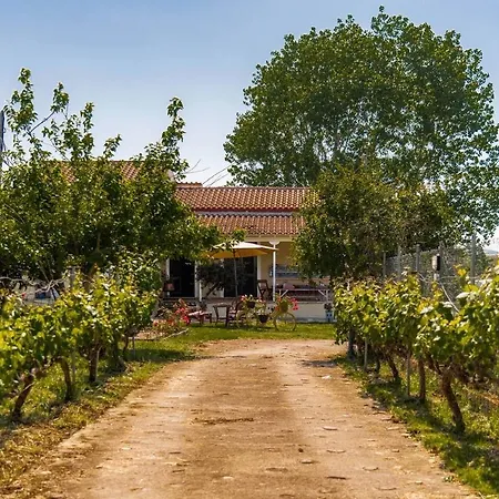 Apartman Yellow Bike House Lefkími