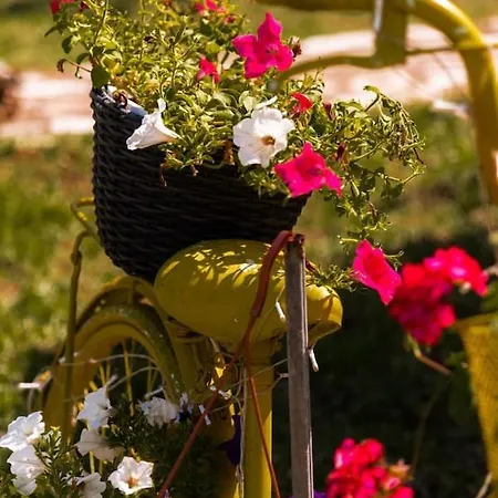 Yellow Bike House Apartman Lefkími