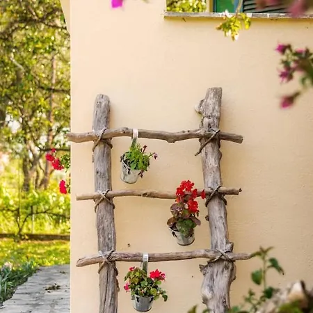 Apartman Yellow Bike House