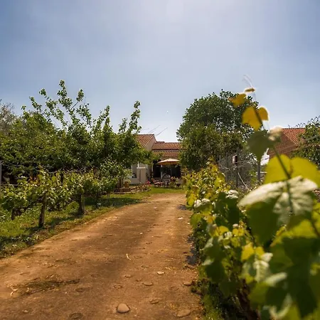 Yellow Bike House Apartman Lefkími