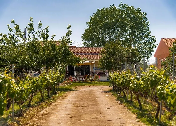 Apartamento Yellow Bike House Lefkimmi (Corfu)